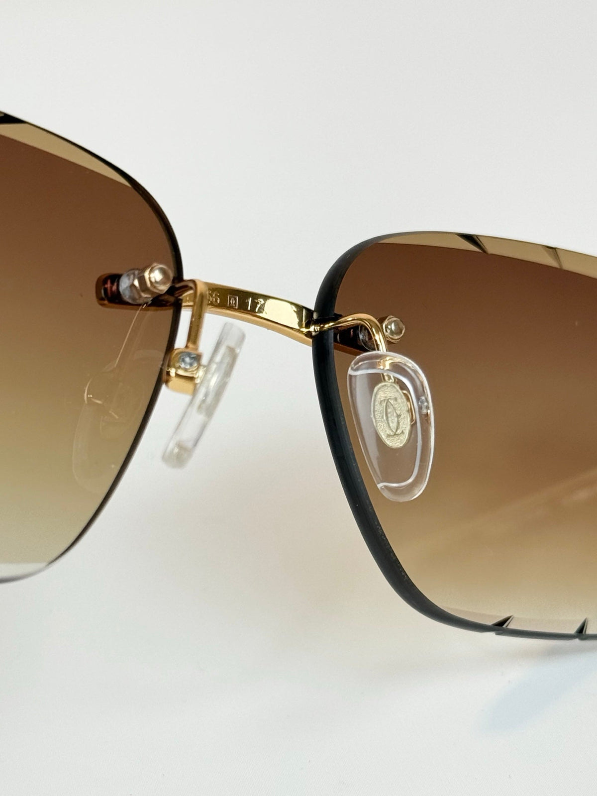 Cartier CT7450S Sunglasses